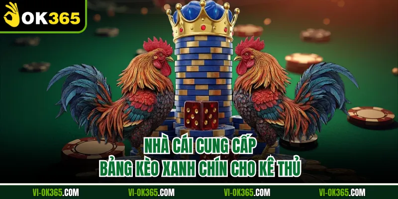 Nhà cái cung cấp bảng kèo xanh chín cho kê thủ